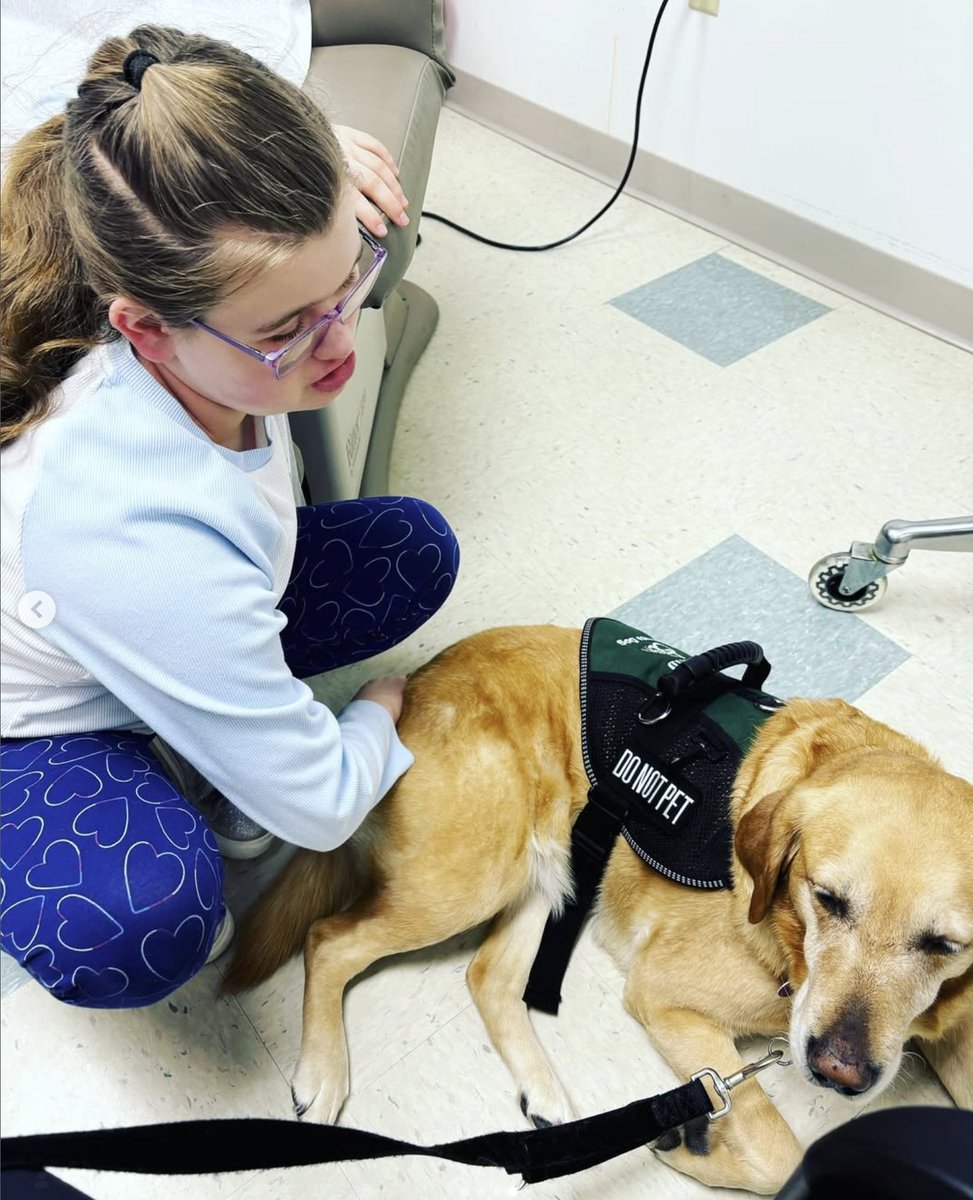 ECAD Service Dogs tweet media