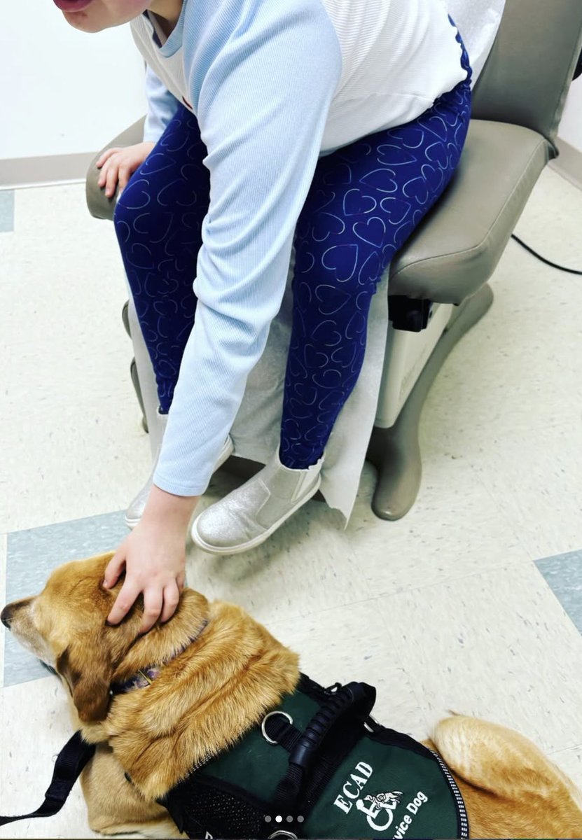 ECAD Service Dogs tweet media