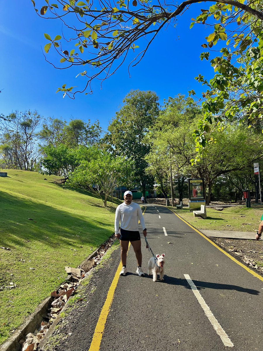 Didimo Ricardo tweet media