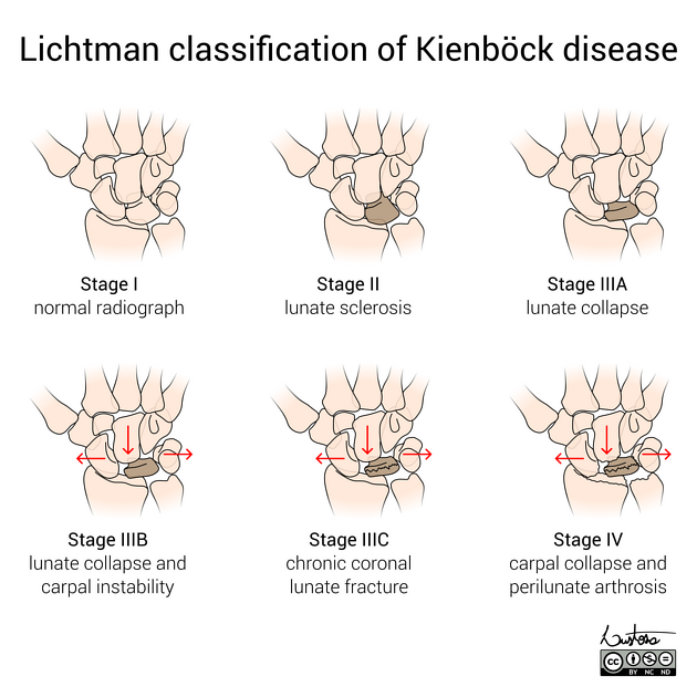 Hassler S. Macías-Sánchez tweet media