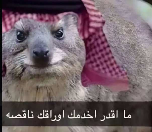 Ali Al-Hashemi tweet media