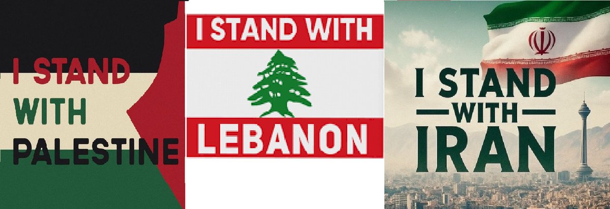 🐢Taous93FI🇩🇿 tweet media