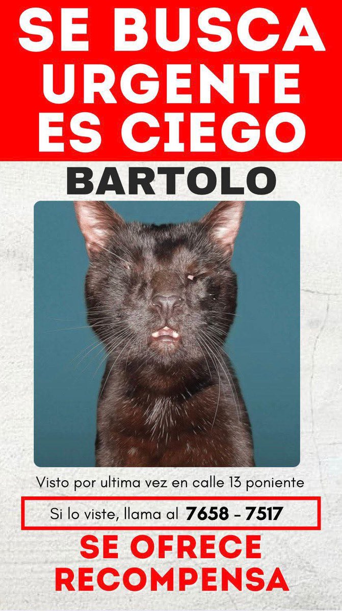 SERVICIO SOCIAL✅️
#SEBUSCA 📣
#EXTRAVIADO ‼️
Zona Residencial Bosques de la Paz, Ilopango