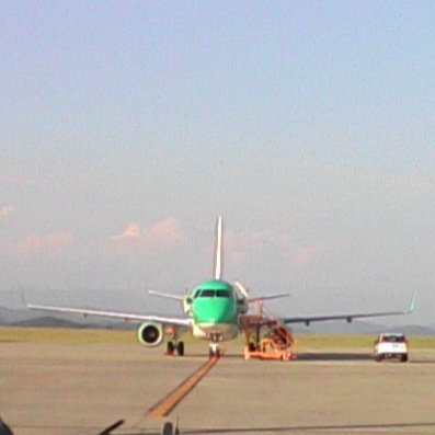 φ田π子＠ごな&えこ＆すぅぼ&ごかぁる主 tweet media