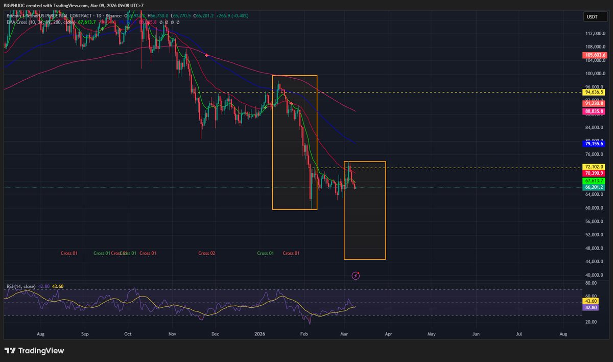 Mr.P_TCX Capital tweet media