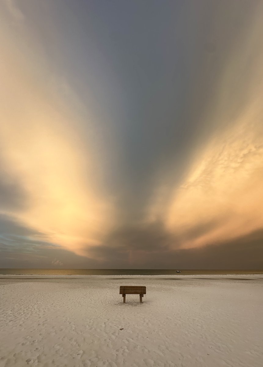 PicturesByLily tweet media