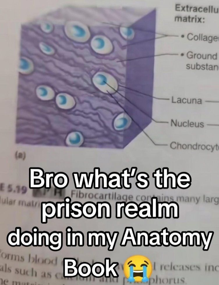 Anime Posts tweet media