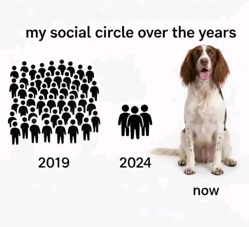 bloom200's tweet image. My social circle may have got smaller… but it’s  way much better. 🐶❤️

#BestFriend #DogLife #DogLovers