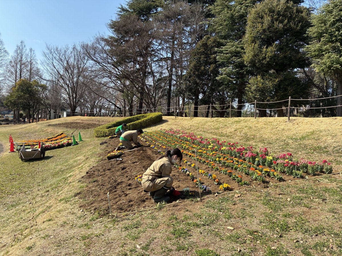 大崎公園【公式】 tweet media
