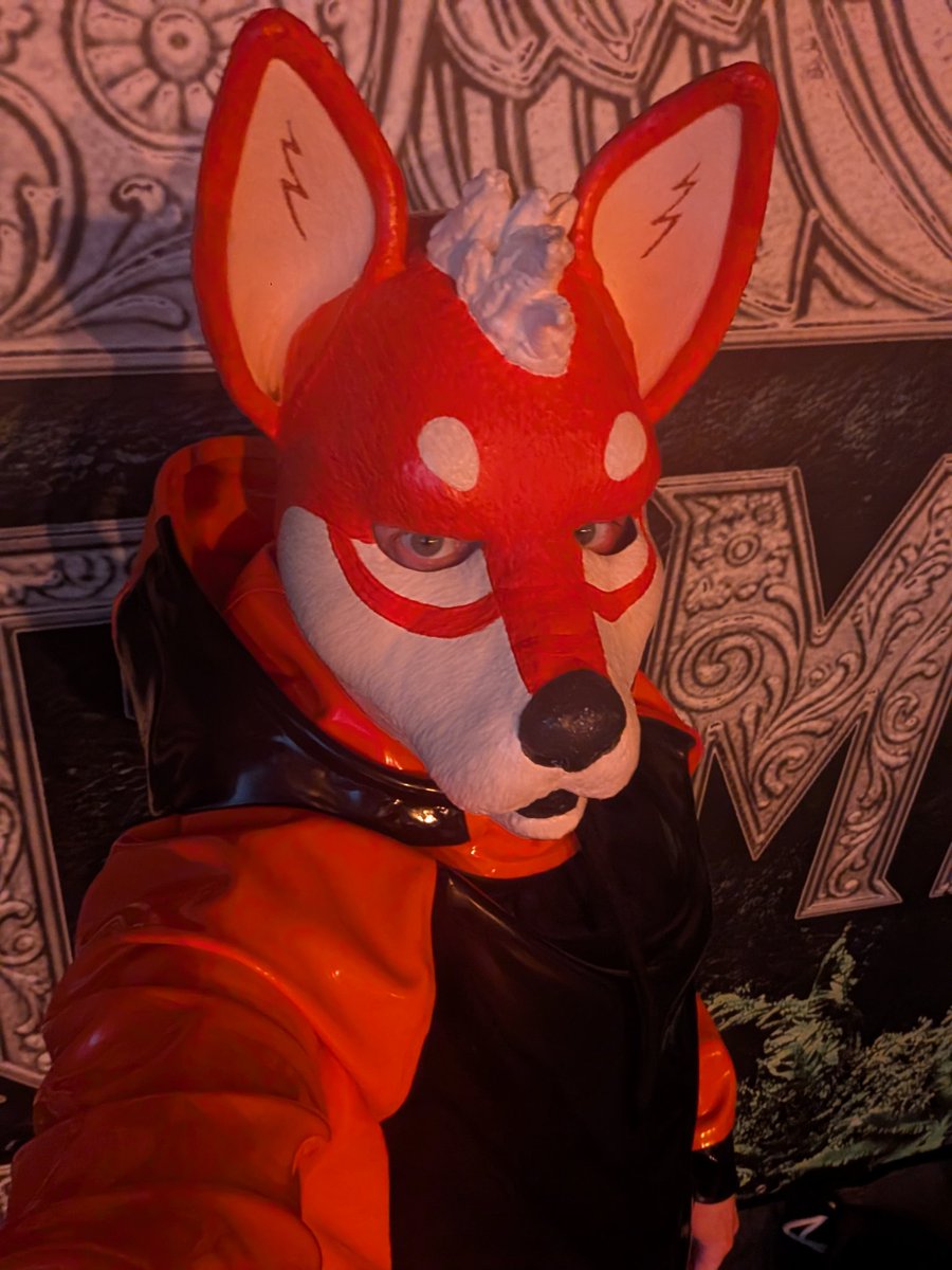 Matt The 壞壞 Shibe tweet media