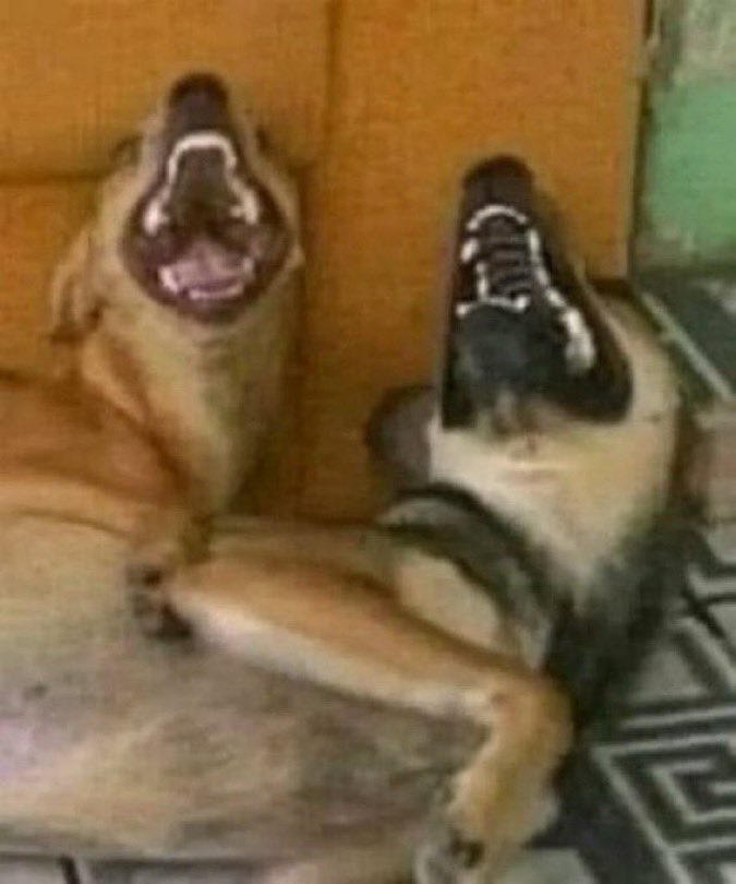 Lucas 🦇 tweet media