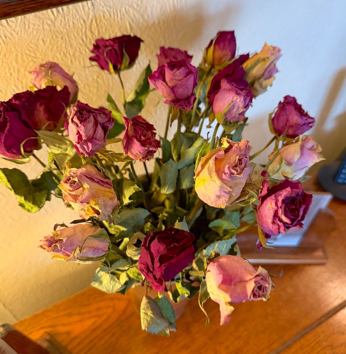 driftwoodbysea's tweet image. #ValentinesDay roses, now dried and on display again! driftwoodbsyea.co.uk #sussex #gardening