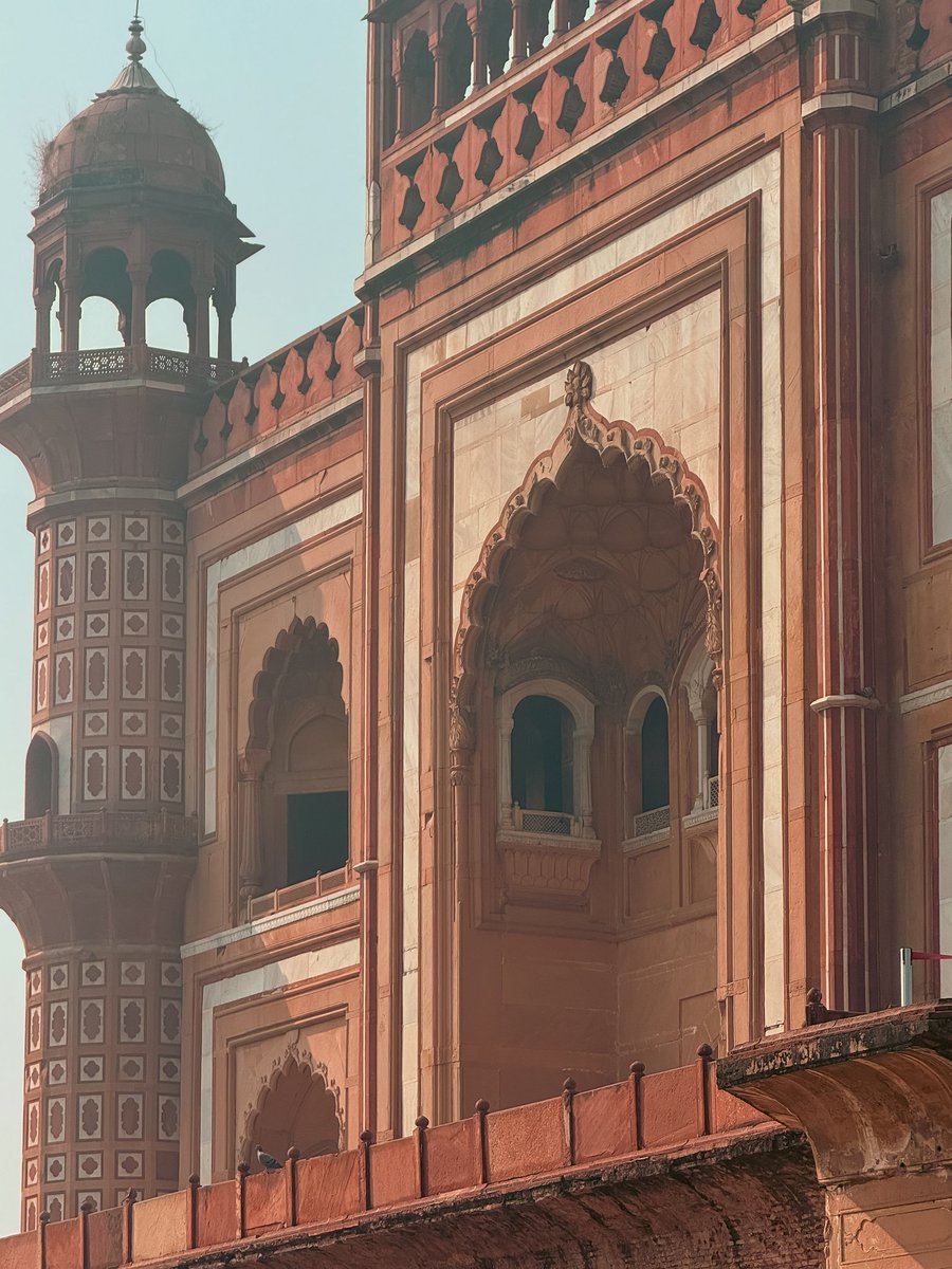 Bobby Roy tweet media