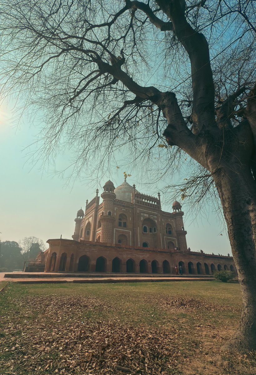 Bobby Roy tweet media