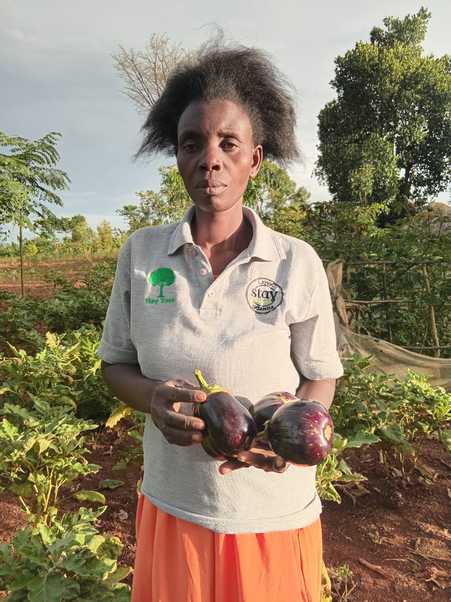 Latek Stay Alliance Uganda tweet media