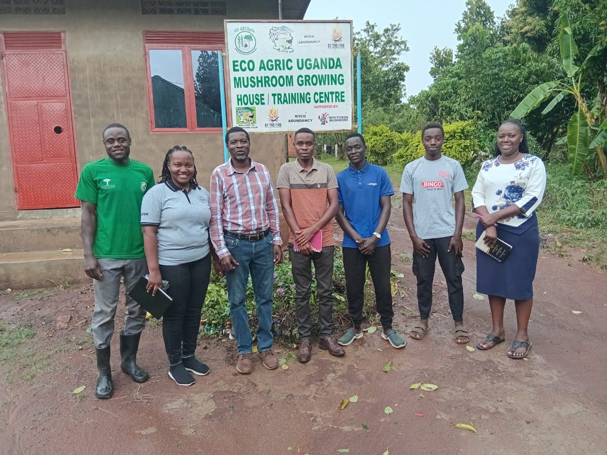 Latek Stay Alliance Uganda tweet media