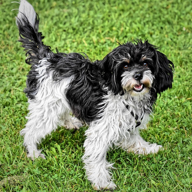 Jai Berondo tweet media