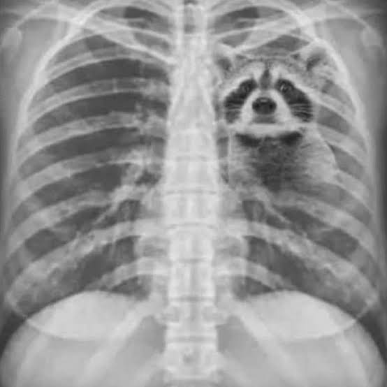 𝗕𝗨𝗟𝗟𝗬 tweet media