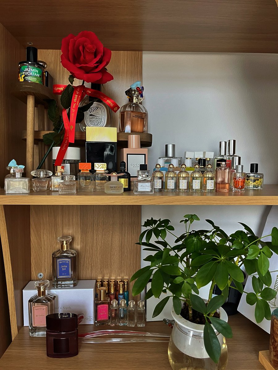 Alsie 🇦🇪 tweet media