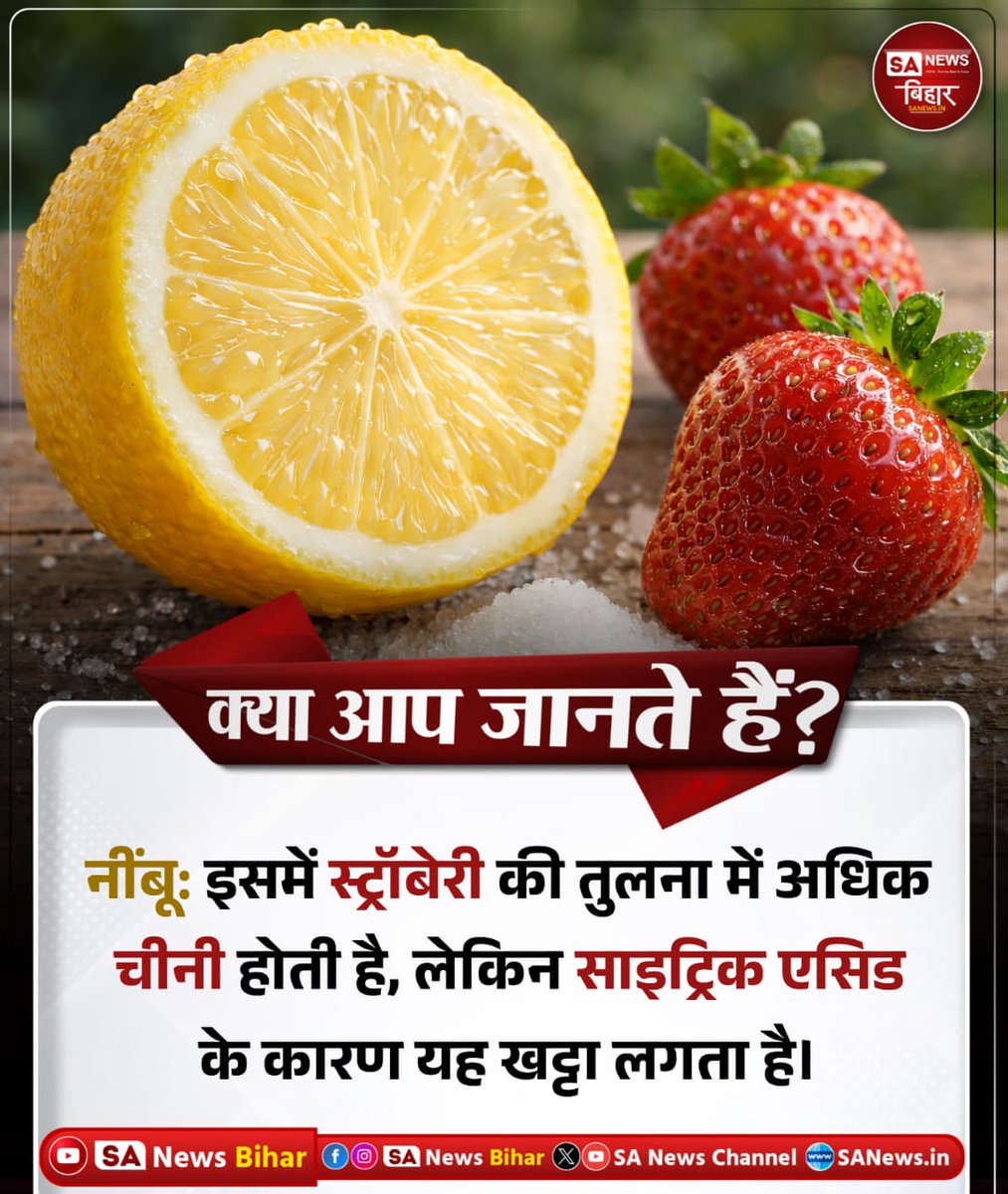 sanewsbihar's tweet photo. क्या आप जानते हैं ?

नींबू: इसमें स्ट्रॉबेरी की तुलना में अधिक
चीनी होती है, लेकिन साइट्रिक एसिड
के कारण यह खट्टा लगता है।

#DidYouKnow
#LemonFacts
#InterestingFacts
#KnowledgeBoost
#SANewsBihar https://t.co/wGUaSVD4k5