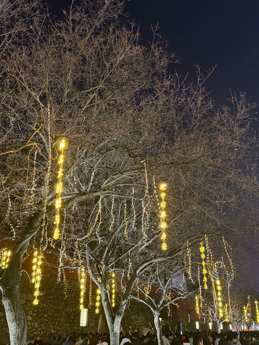 0xCrypto巫师💢 tweet media