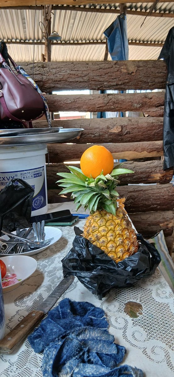 LULEJONATHAN21's tweet photo. Fresh new week starts with a fresh mind.
Brighten up you week by grabbing yourself a fruit 🍍 🍊. 

Ekibala Gummite 
Eat Fresh! Live Fresh!
#UbuntuTasteOfNature https://t.co/SQm1fdaelR