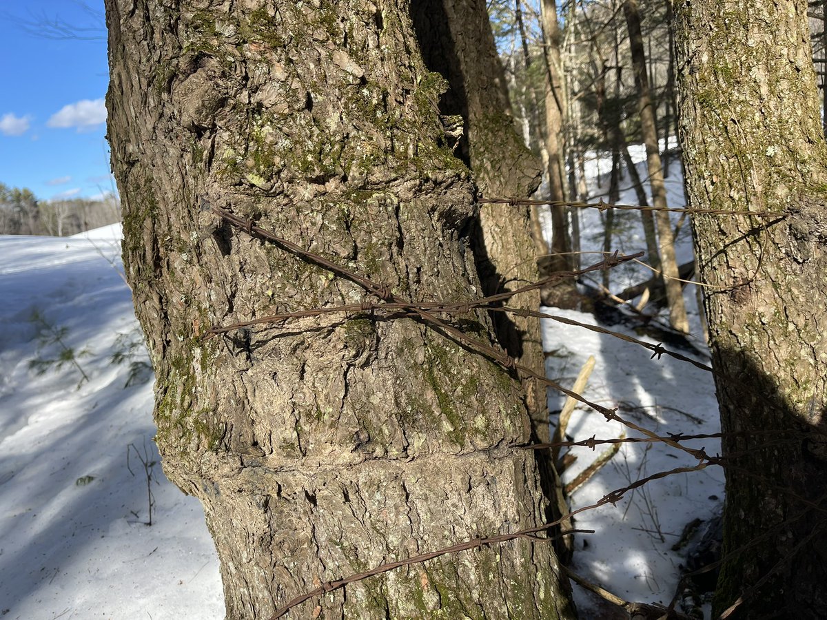 Soil4Climate tweet media