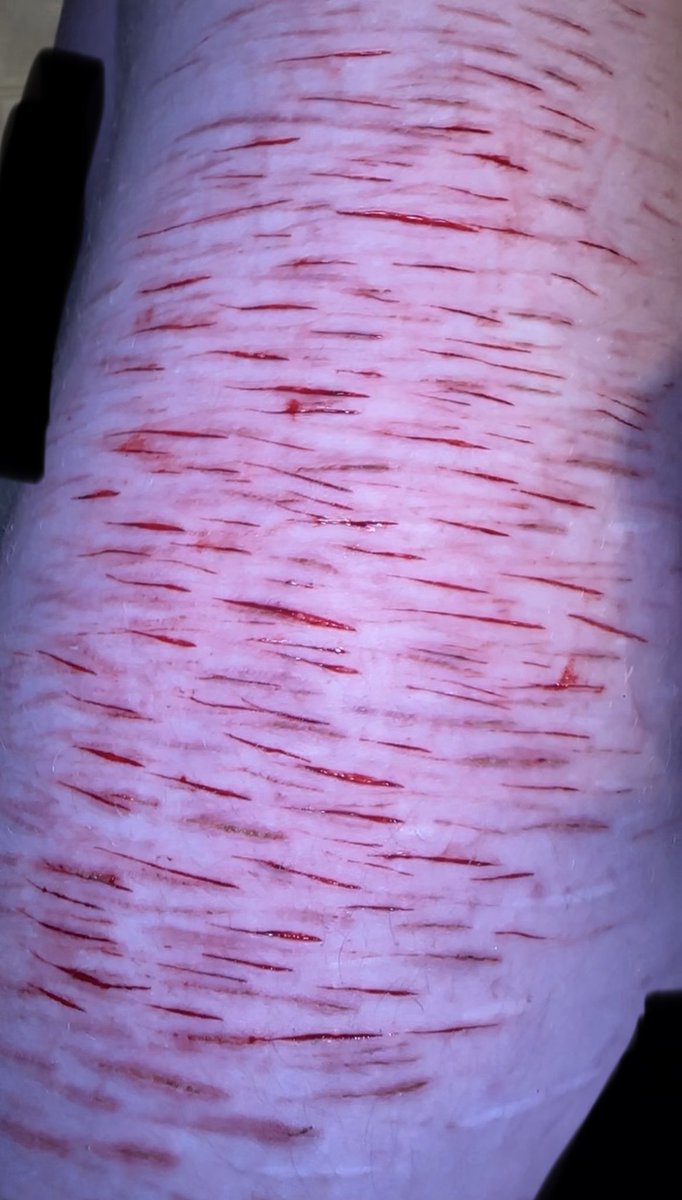 ꒰ 𝚜𝚝𝚊𝚛 ⸝⸝ ♡ྀི ꒱ tweet media