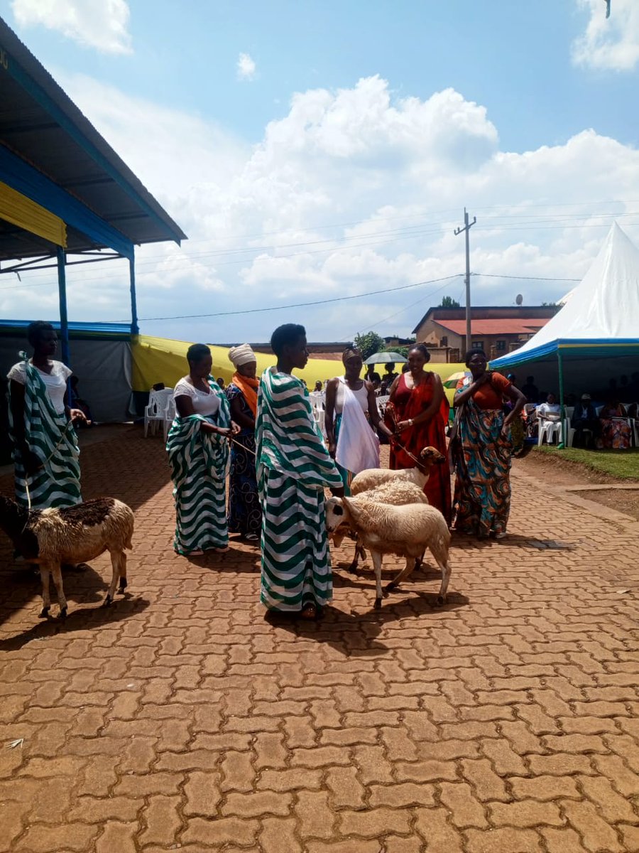 Ardho Rwanda tweet media