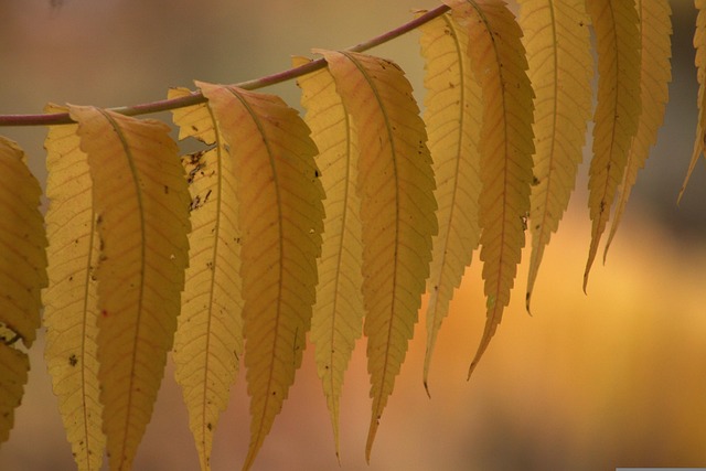 Jamie Thomas tweet media