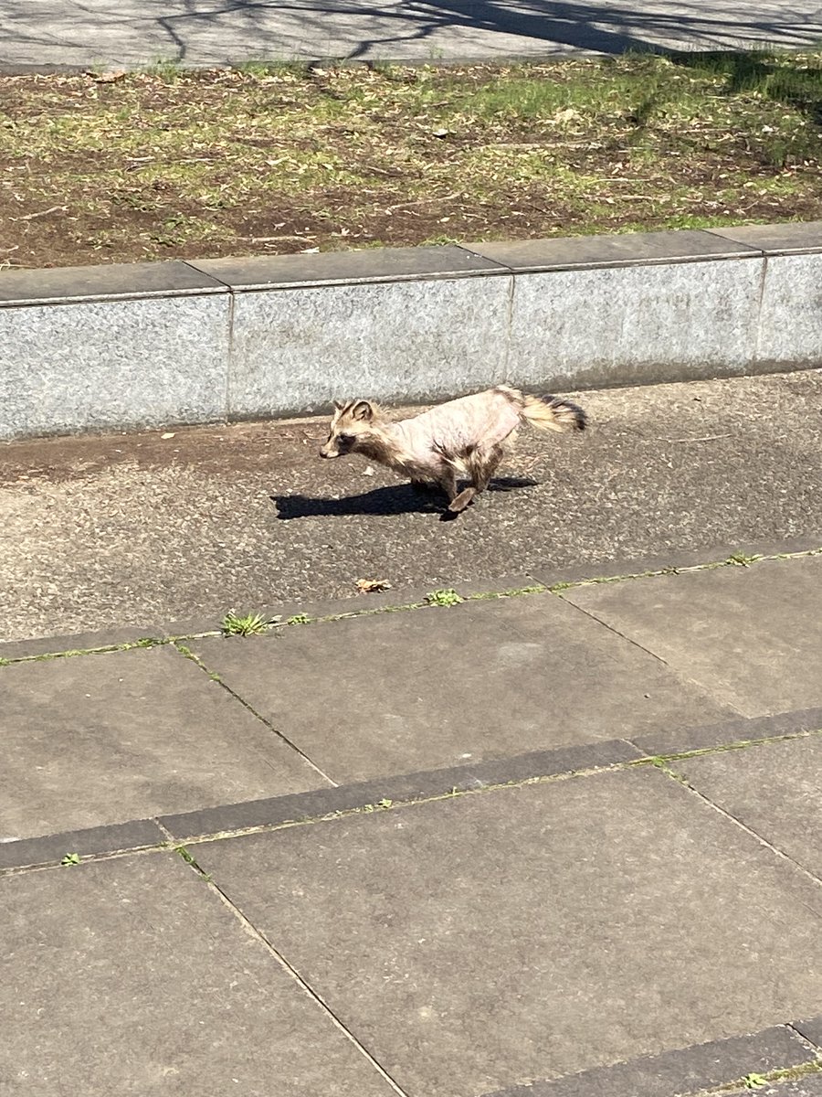 Yoshihisa OBAYASHI tweet media