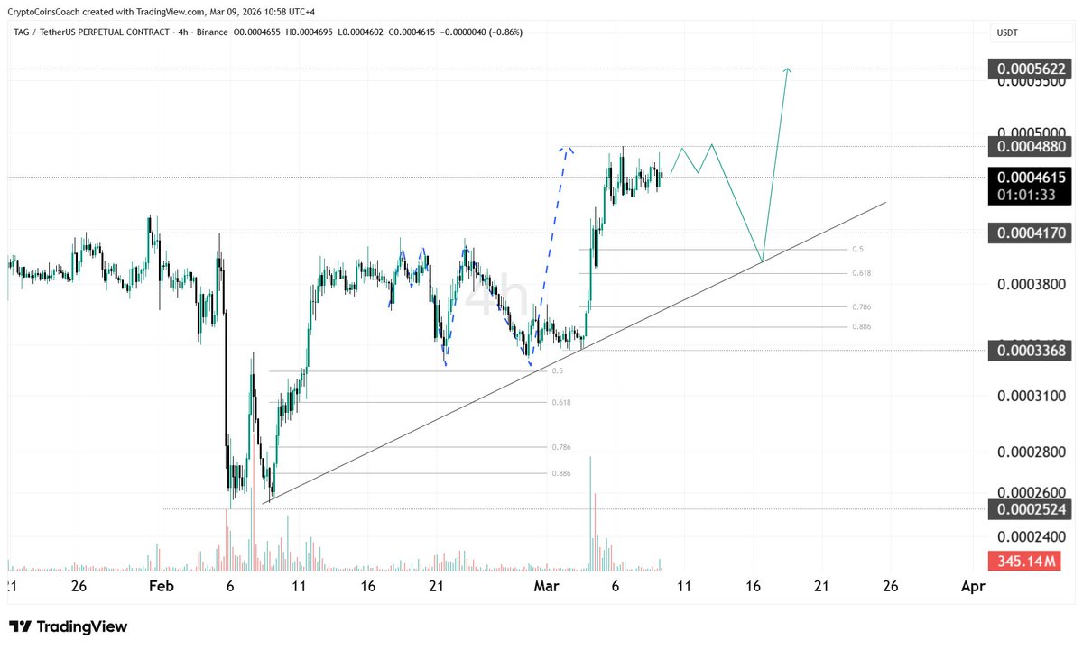 Crypto Coins Coach tweet media