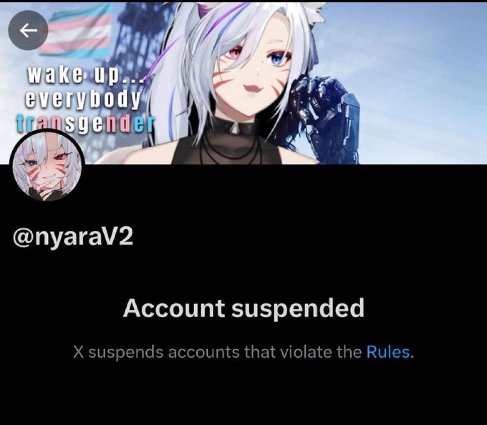 I.C.E. Melter 🖤 tweet media