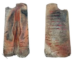 Ticia Verveer tweet media