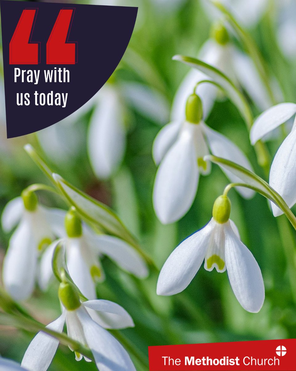 The Methodist Church tweet media