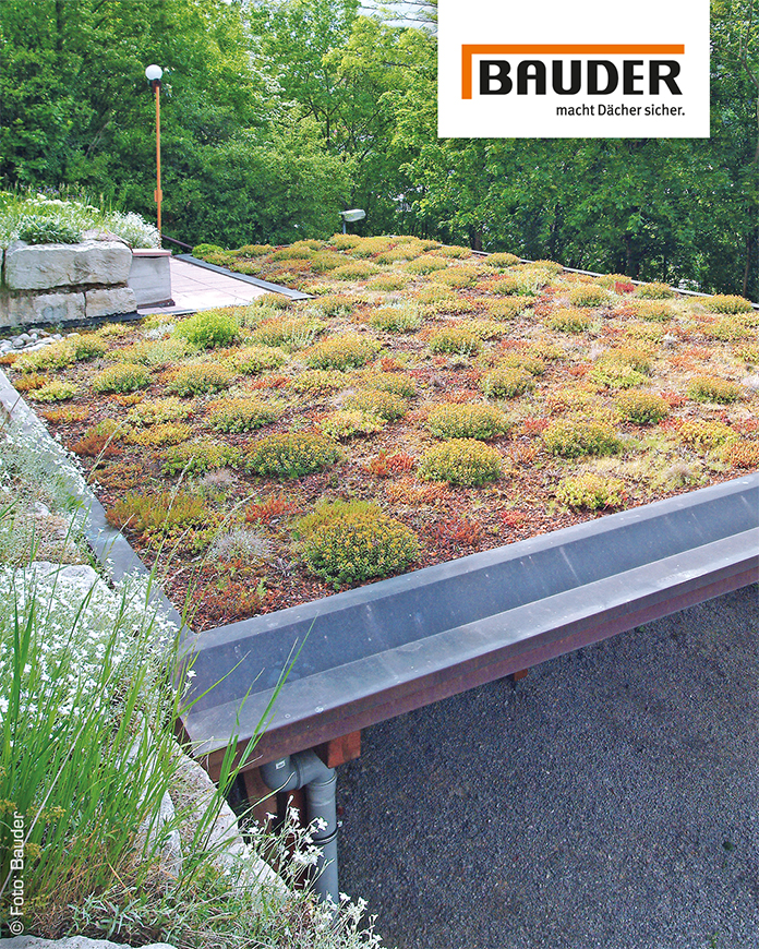 imbaucentrum's tweet photo. Dein Dach kann mehr. 💚
Mit einem Gründach von Bauder holst du dir Natur zurück. 🌿 Ob auf Garage, Carport oder Hausdach. Gut fürs Klima, schön fürs Auge und stark für die Umwelt. 🐝

https://t.co/kk8H3WiMhX

#Bauder #Gründach #NachhaltigBauen #Dachbegrünung #MehrNatur https://t.co/P9jq7DS5Lh