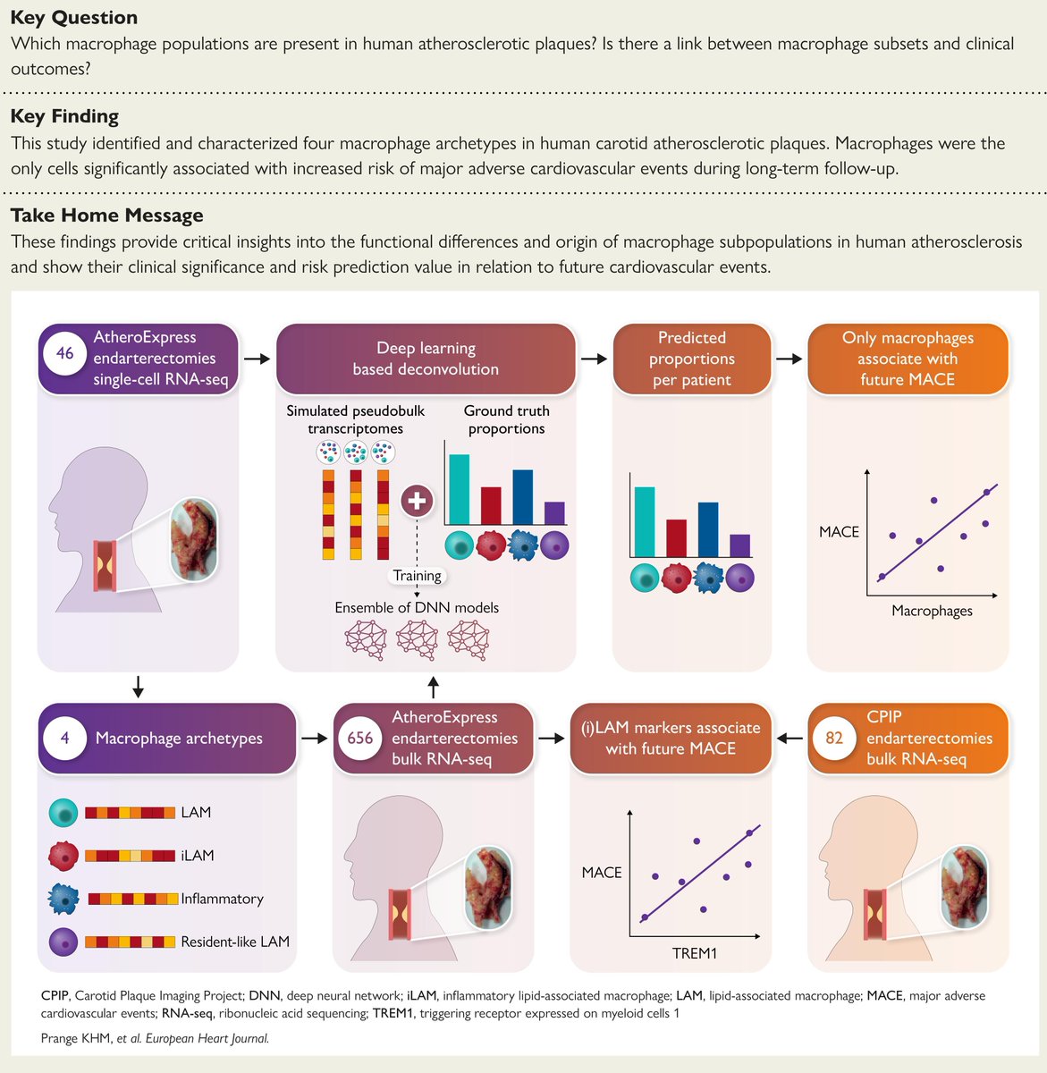 European Society of Cardiology Journals tweet media