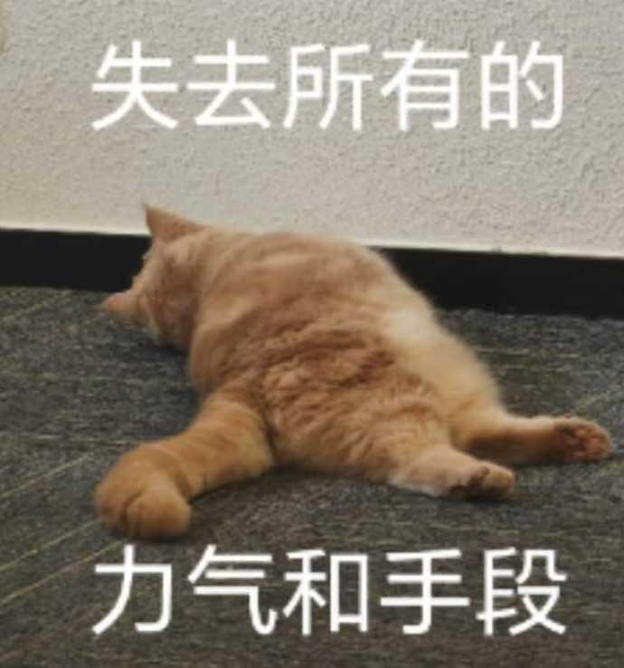 Vvicky绵绵🦅 tweet media