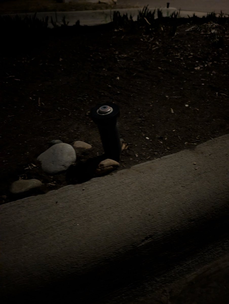 Bike Life of Bryan 🚲 tweet media