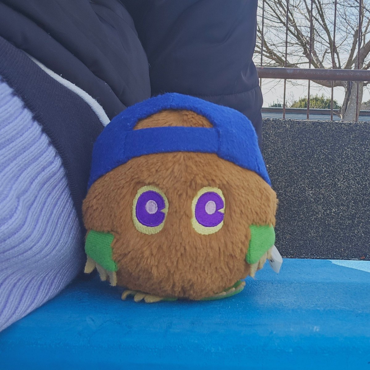 ←初日    最近→