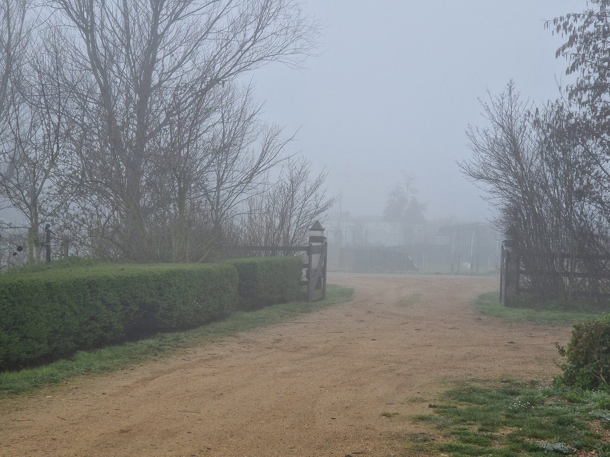 ReneMathijsMaly's tweet photo. Dag nr. 3. Ben er wel klaar mee nu!
#mist https://t.co/FVQdicThPC