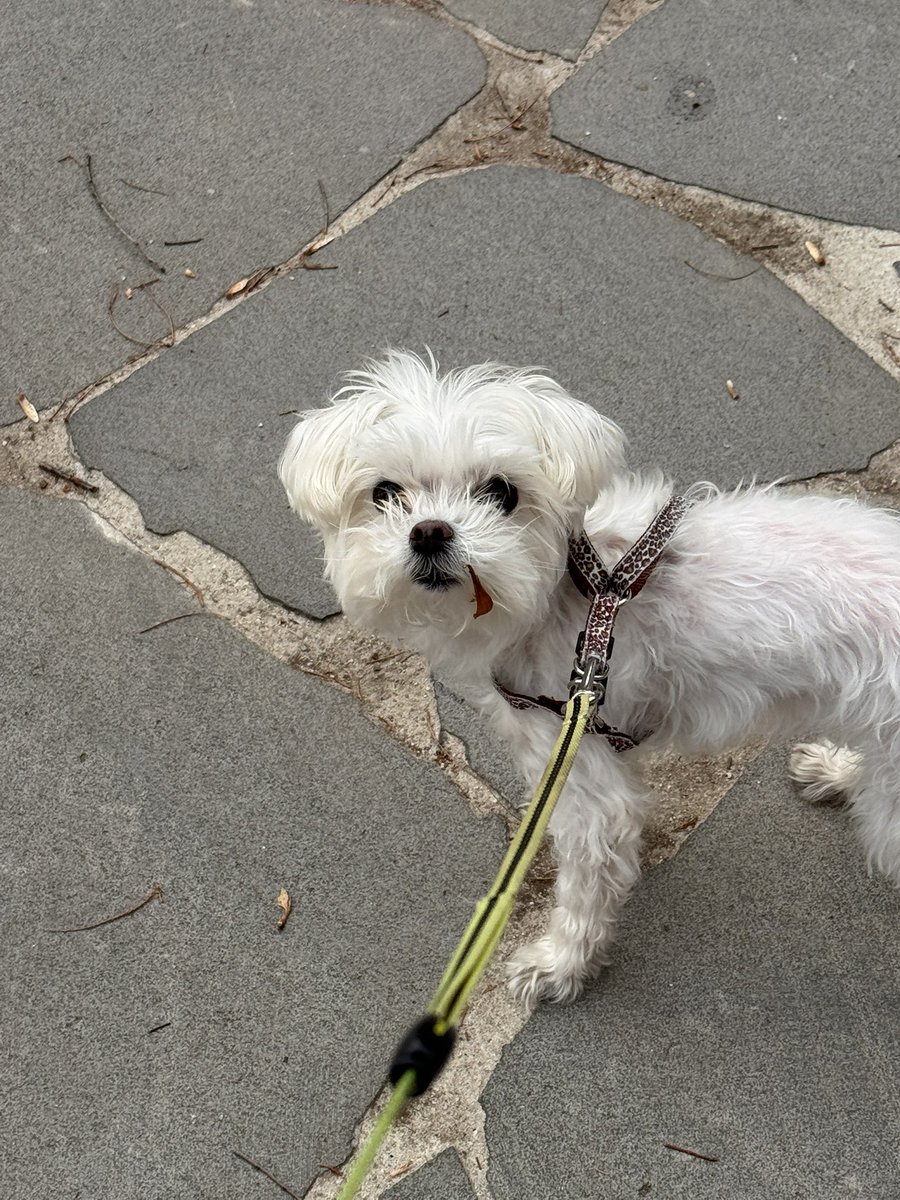 뭘 봐! 내 얼굴에 뭐 묻었오?