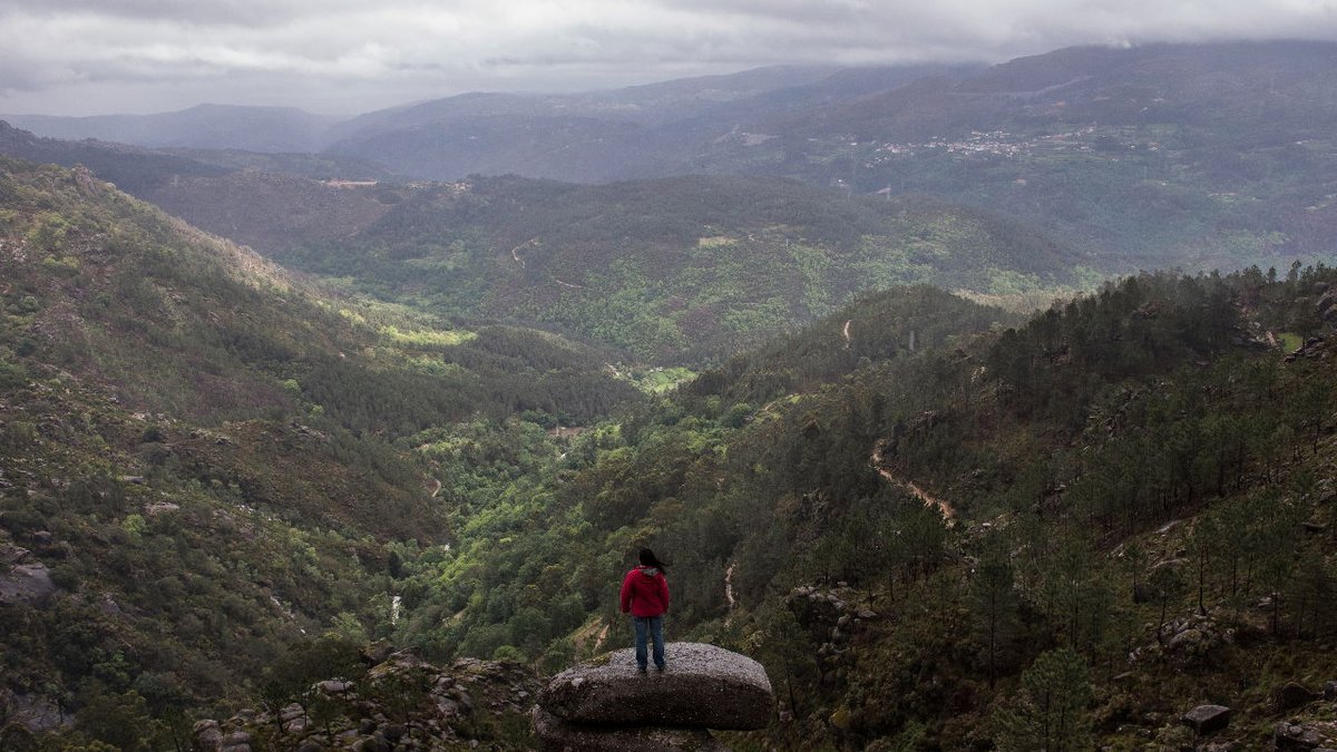 businessamnl's tweet image. Portugal krijgt miljoenenboete door gebrekkige bescherming van biodiversiteit businessam.be/portugal-krijg… #biodiversiteit #EUwetgeving #milieu #natuurbescherming #habitatrichtlijn