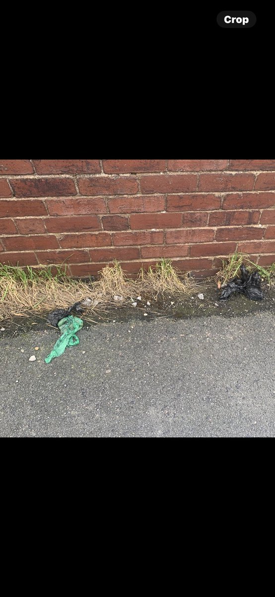 bam58_'s tweet photo. @RupertLowe10 I see litter outside peoples homes literally outside their front gates mainly tins cans and plastic bottles. If people cba to clean outside their property then what hope do we have. Some people are bone idle. Then there’s bagged up dog pooh just thrown on the street https://t.co/I4Sa2ZzKq0