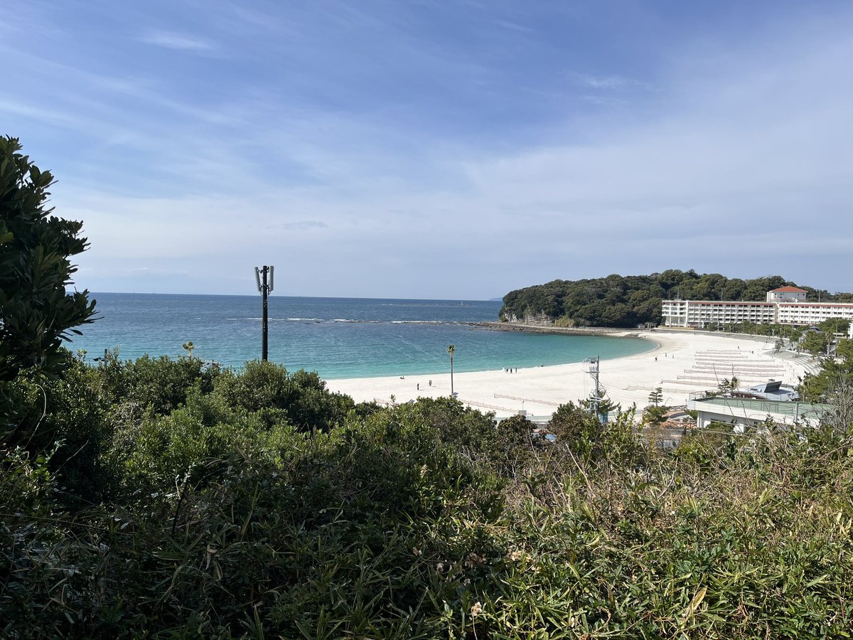 ねこさん tweet media