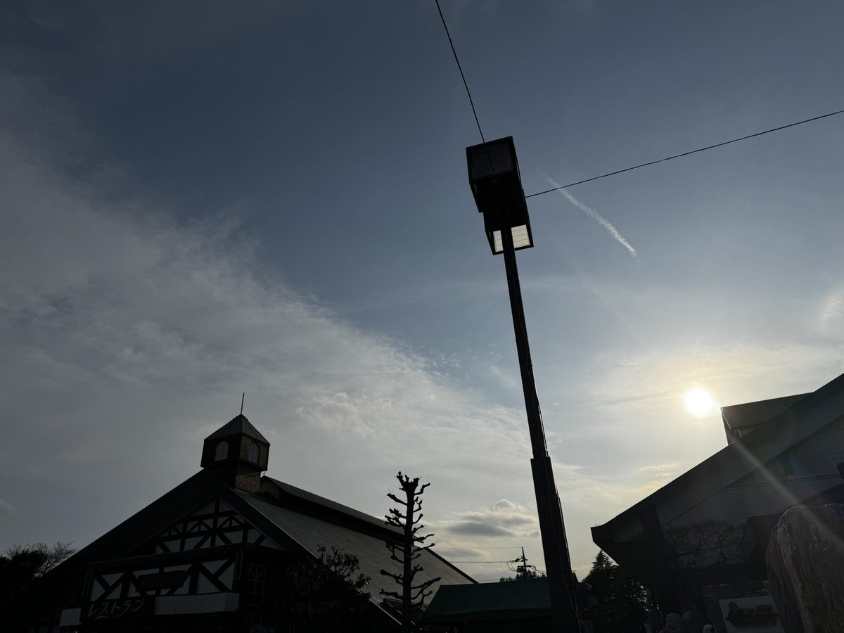 良い顔がやめられないフェネック (@fenecc_mendo) on Twitter photo 