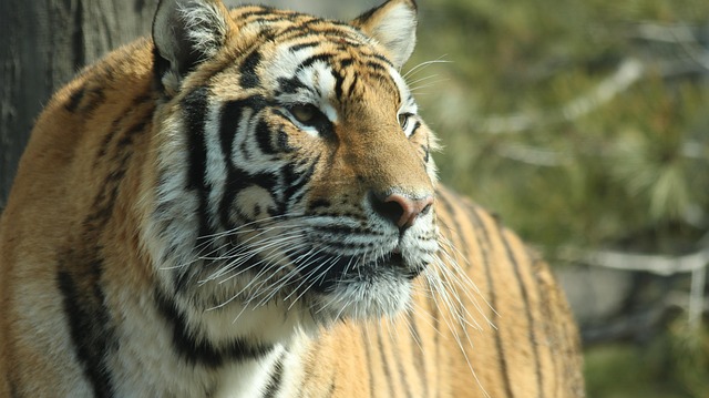 Matthew Mack tweet media