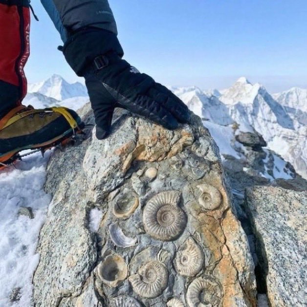 Encontraron rocas marinas en el Monte Everest, lo que confirma que el punto más alto de la Tierra alguna vez estuvo en el fondo del océano.