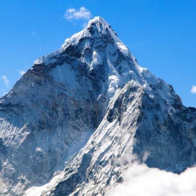 Indie 505 tweet media