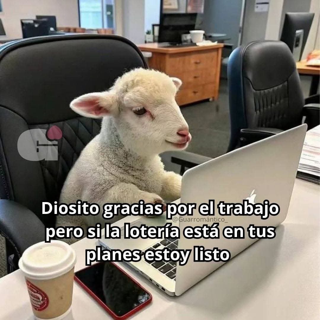 BANDIDOS tweet media